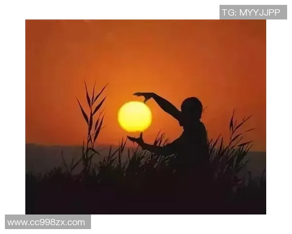 深度对话杨军排球人生的奋斗与梦想之路 深度对话杨军排球人生的奋斗与梦想之路