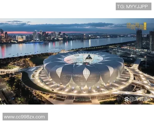 杭州乒乓球队在全国锦标赛中的崛起与突破历程全景回顾 杭州乒乓球队在全国锦标赛中的崛起与突破历程全景回顾