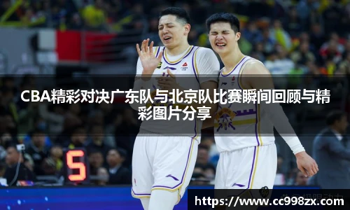 BB贝博登录入口